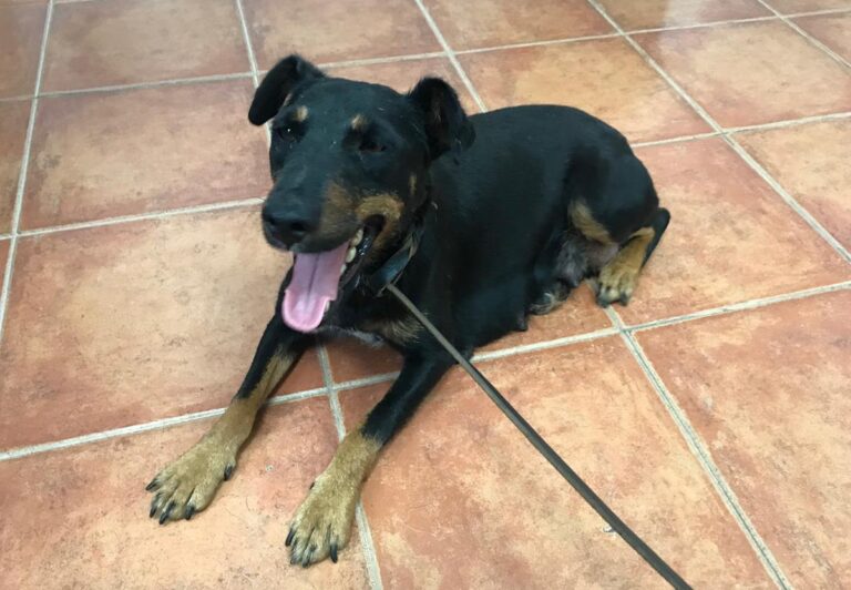 multimedia-foto64537-358-1