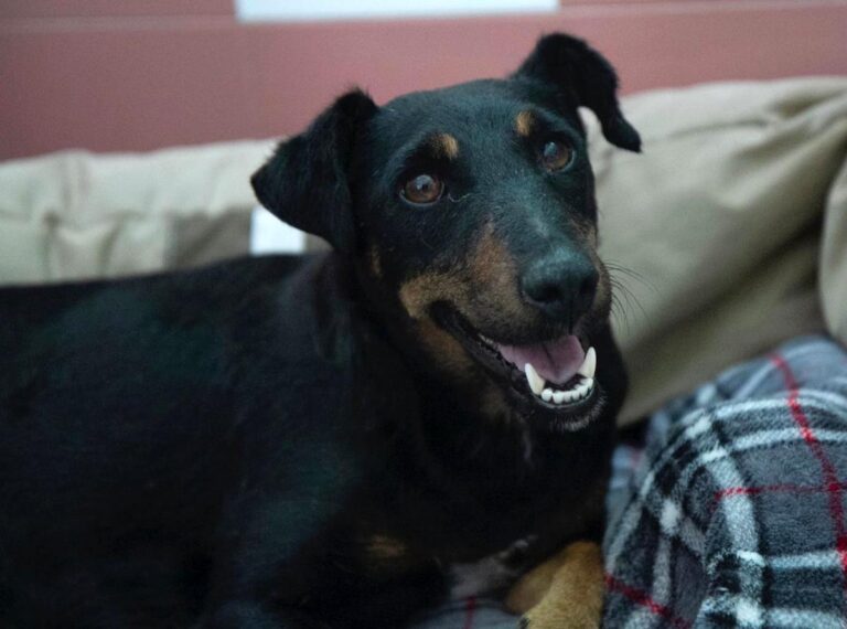 multimedia-foto64538-358-1