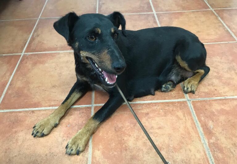 multimedia-foto64539-359-1