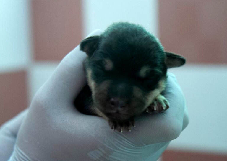 multimedia-foto64540-949-1