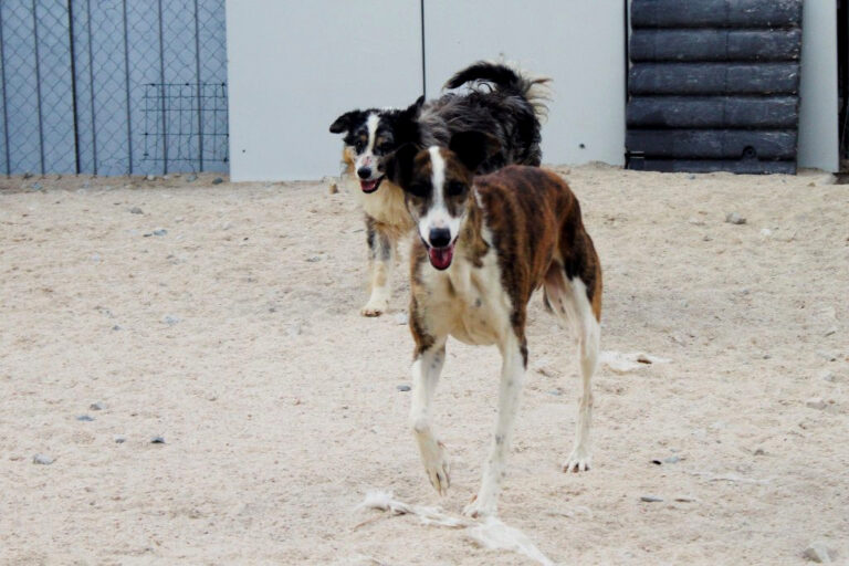 multimedia-foto64545-819-1