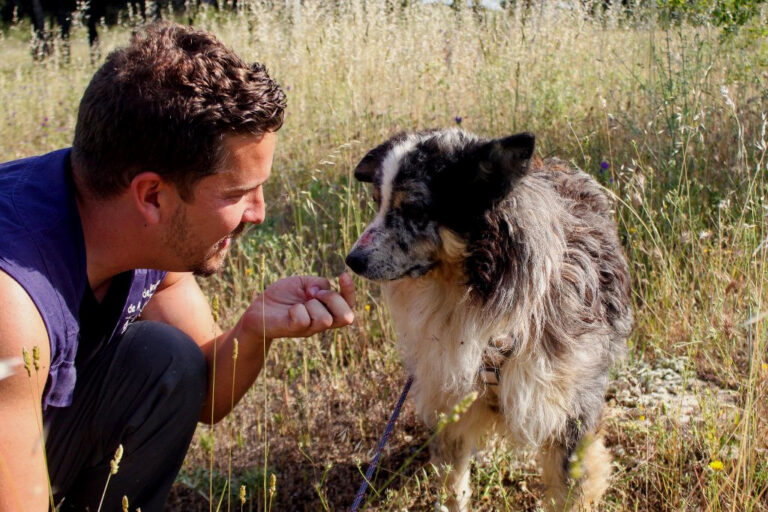 multimedia-foto64546-819-1