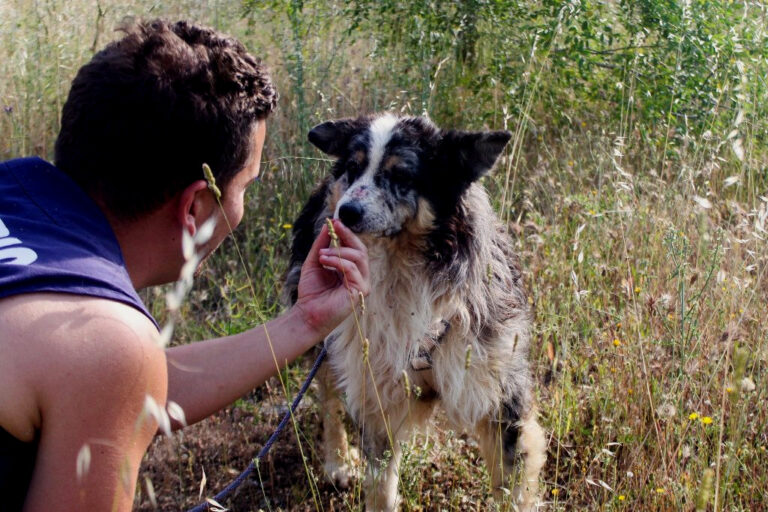 multimedia-foto64547-820-1