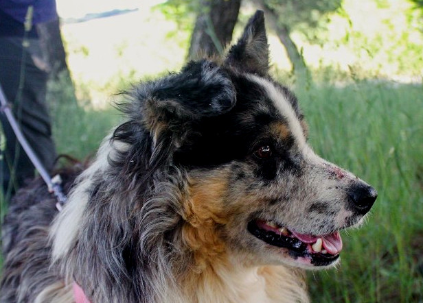 multimedia-foto64548-820-1