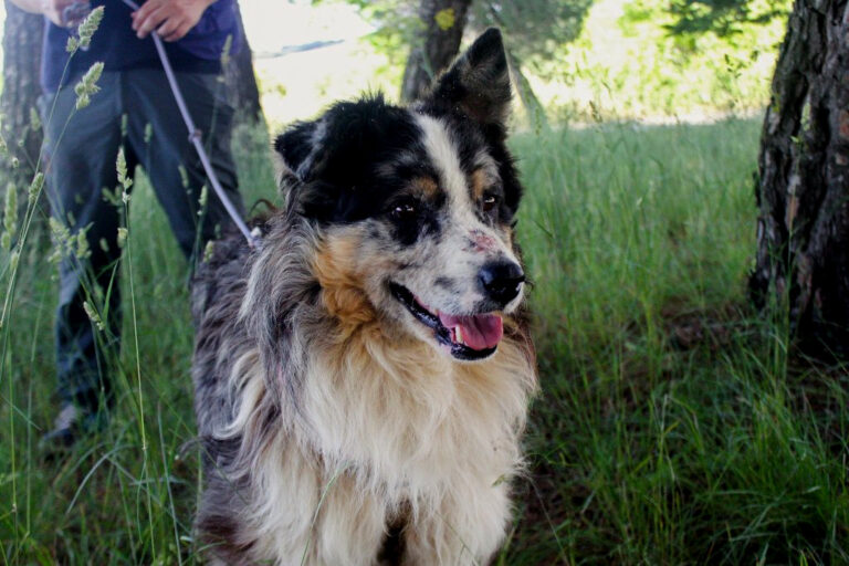 multimedia-foto64549-821-1