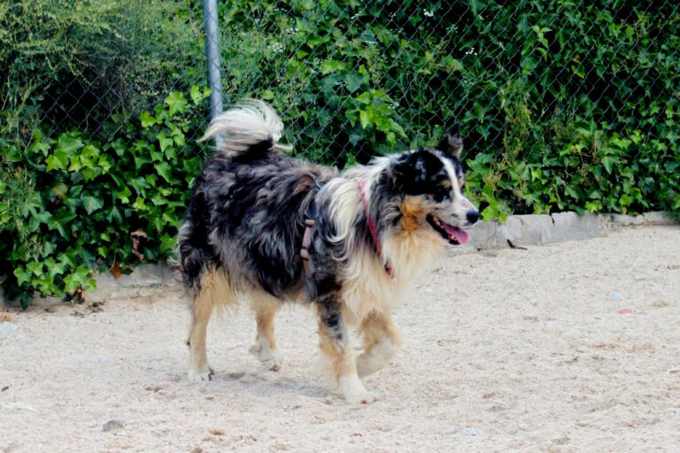 multimedia-foto64551-822-1