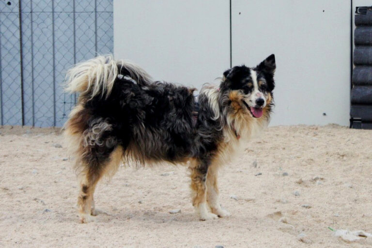 multimedia-foto64552-822-1