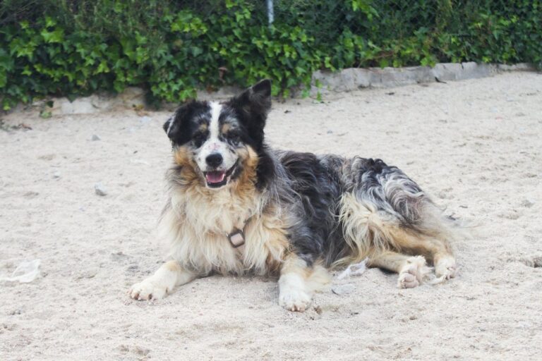 multimedia-foto64554-823-1