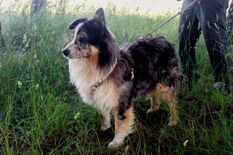 multimedia-foto64555-824-1