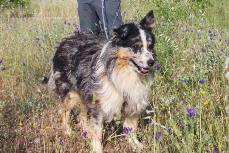 multimedia-foto64557-844-1