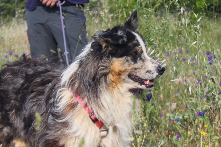 multimedia-foto64558-844-1