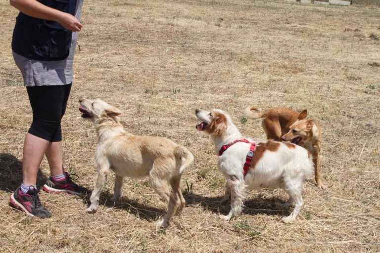 multimedia-foto64560-198-1