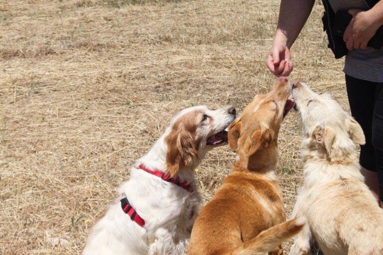 multimedia-foto64561-199-1