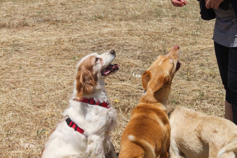 multimedia-foto64562-199-1