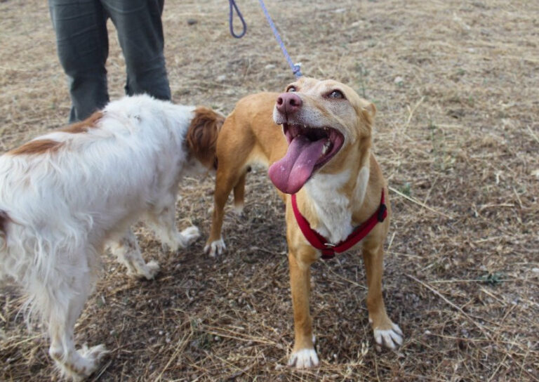 multimedia-foto64563-200-1