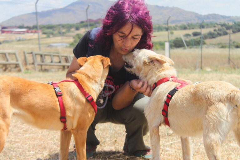 multimedia-foto64564-200-1