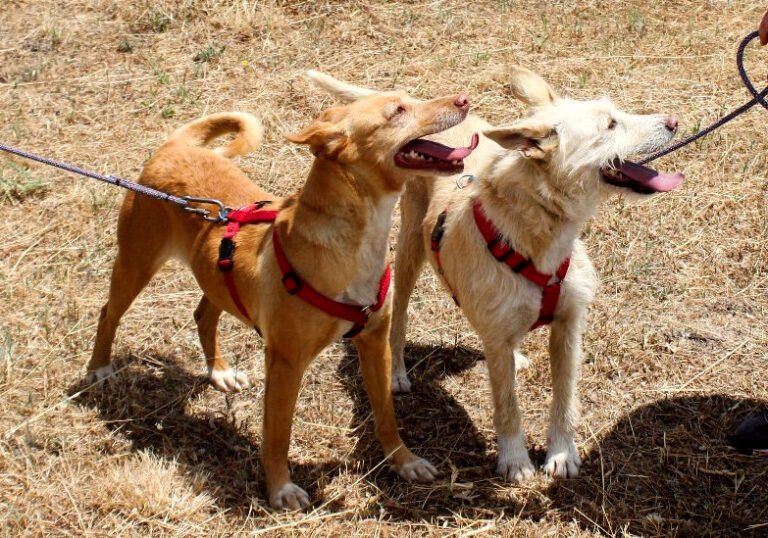 multimedia-foto64565-201-1