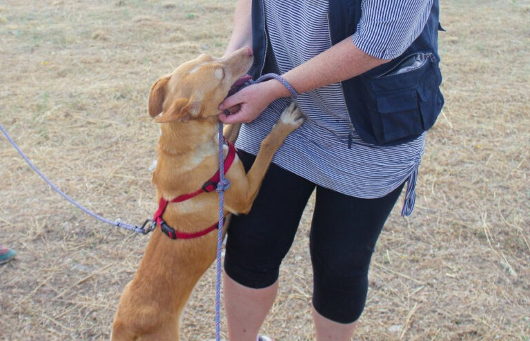 multimedia-foto64566-201-1