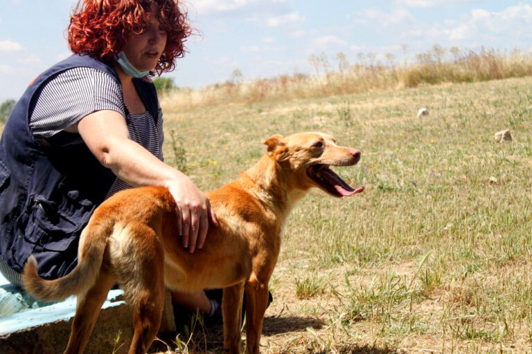 multimedia-foto64567-245-1