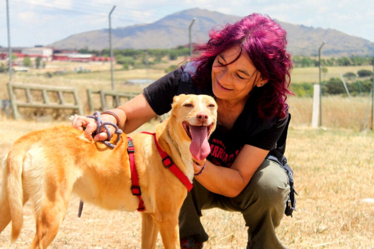 multimedia-foto64568-246-1