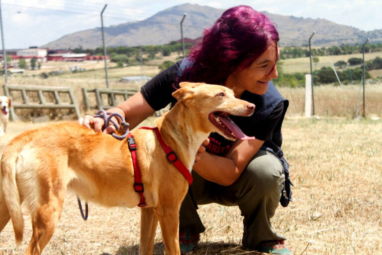 multimedia-foto64569-247-1