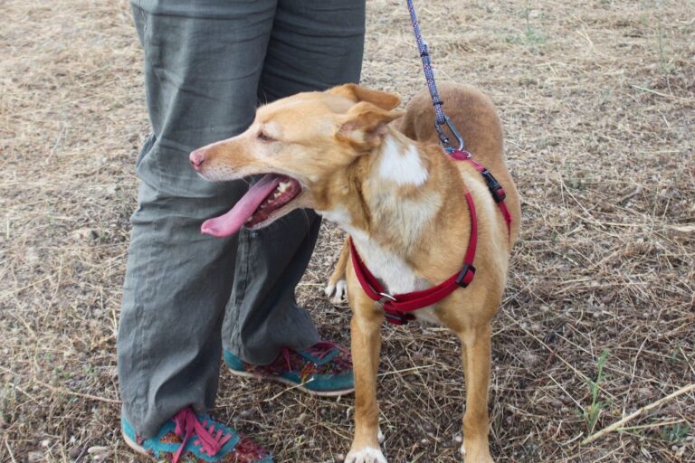 multimedia-foto64570-247-1