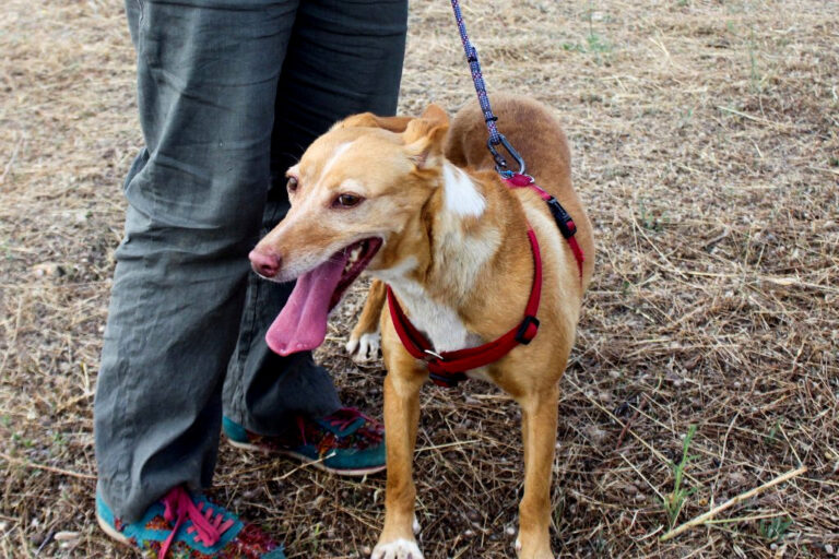 multimedia-foto64571-248-1