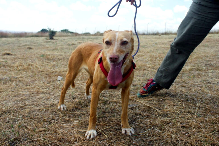 multimedia-foto64572-248-1