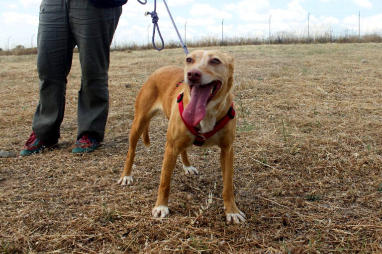 multimedia-foto64573-249-1