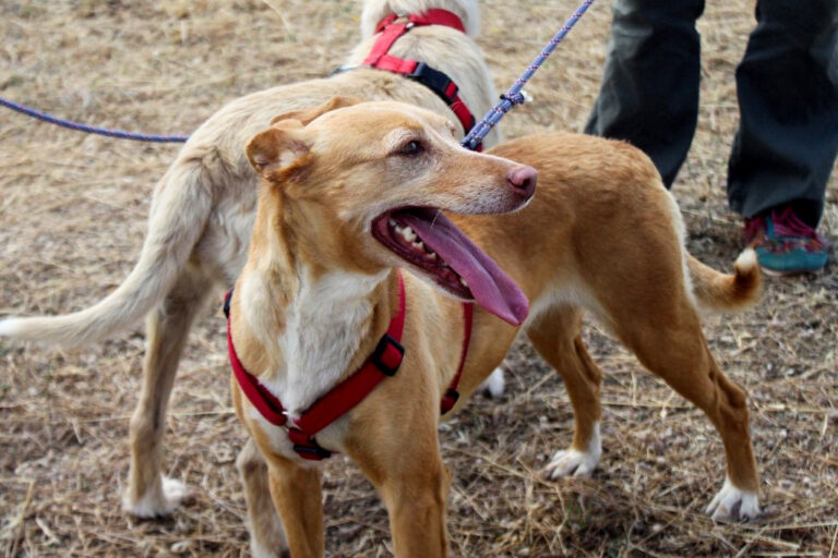 multimedia-foto64574-249-1