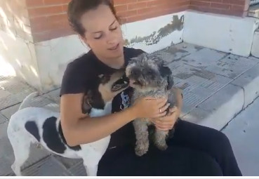 multimedia-foto64592-951-1