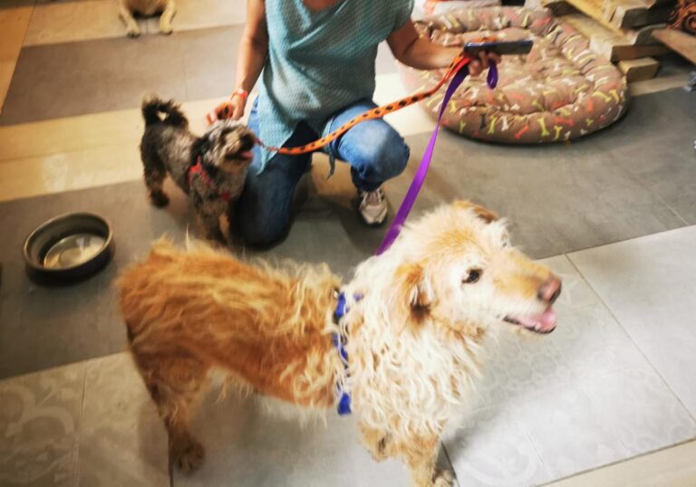 multimedia-foto64594-952-1