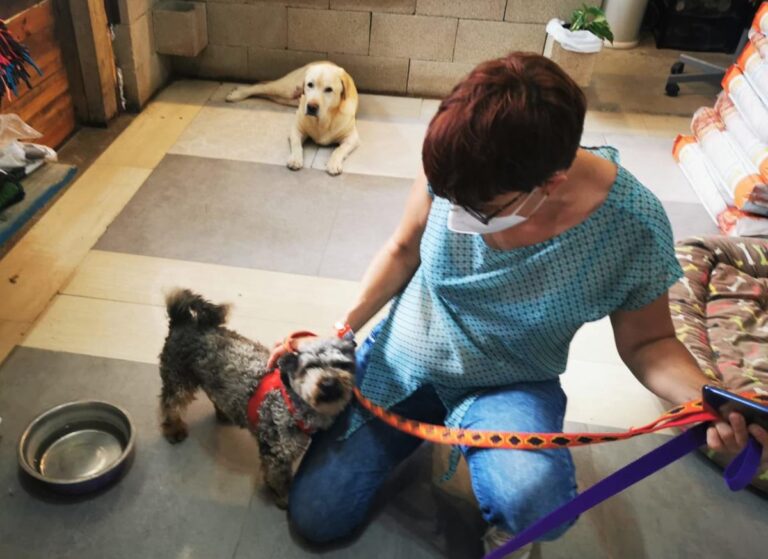 multimedia-foto64595-952-1