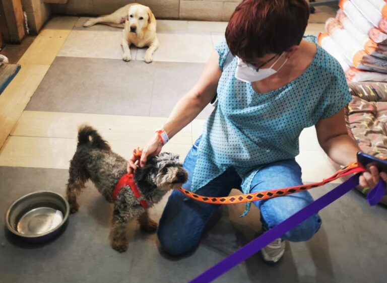 multimedia-foto64596-953-1