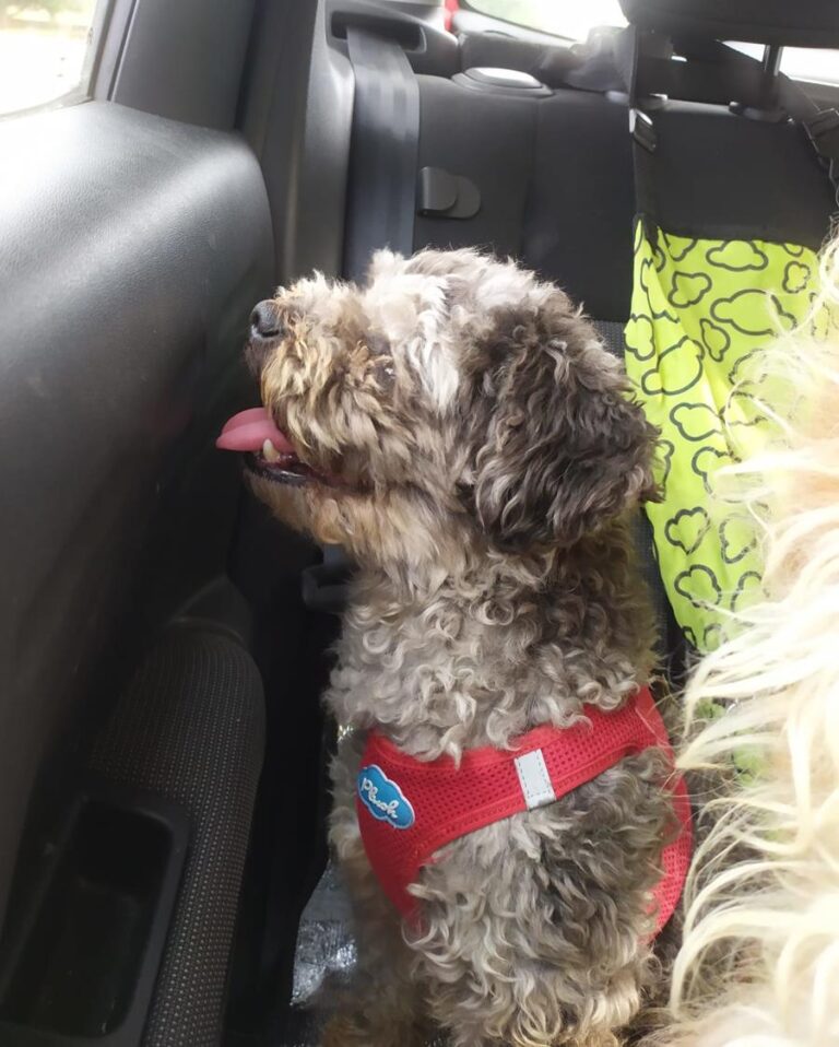 multimedia-foto64597-953-1