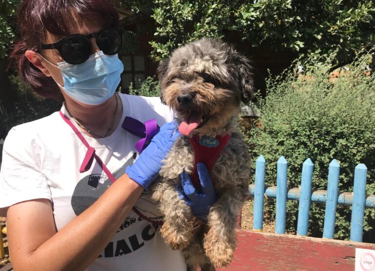 multimedia-foto64599-954-1