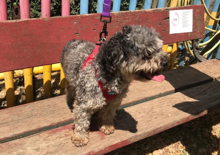 multimedia-foto64600-955-1