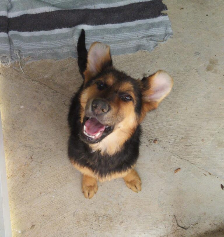 multimedia-foto64602-487-1