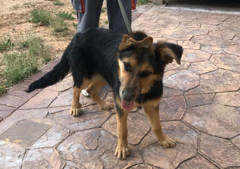 multimedia-foto64604-489-1