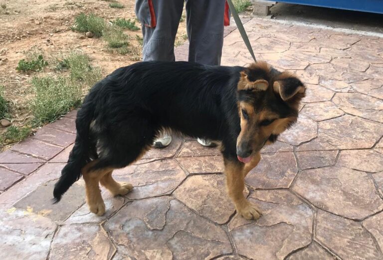 multimedia-foto64605-489-1