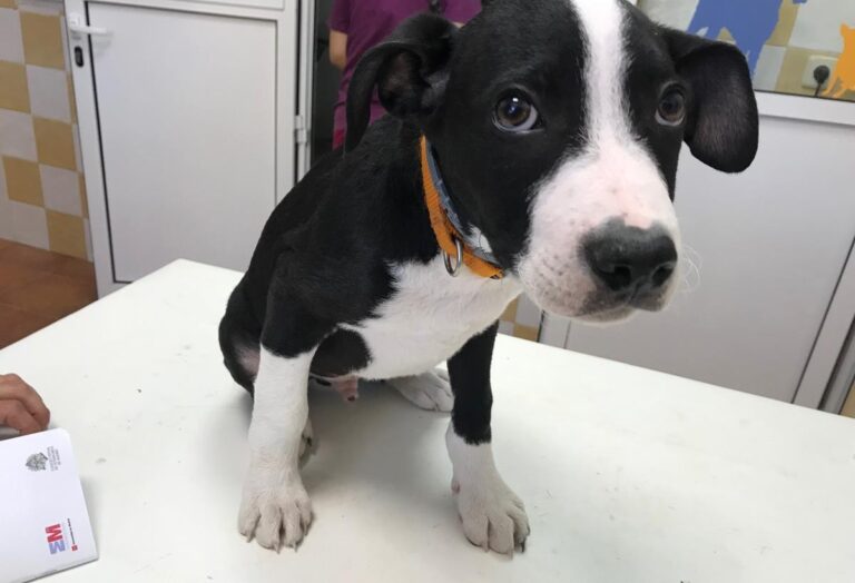 multimedia-foto64612-144-1