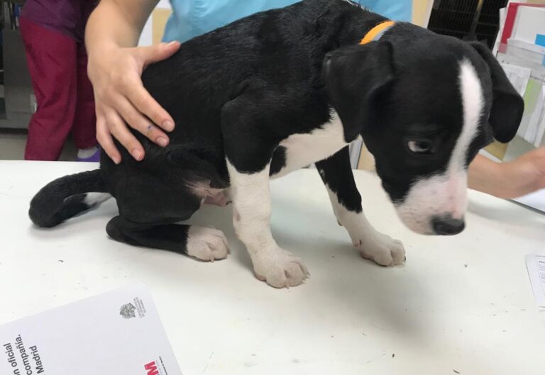 multimedia-foto64613-144-1