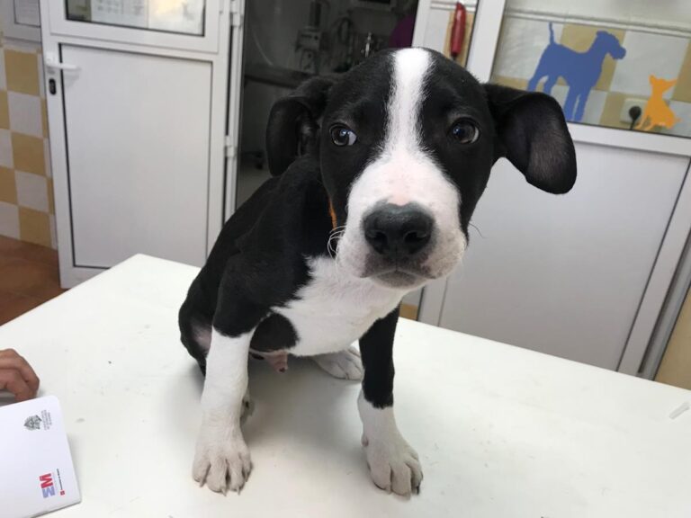 multimedia-foto64614-145-1