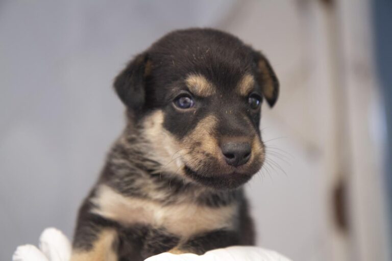 multimedia-foto64617-404-1