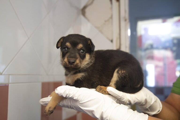 multimedia-foto64618-404-1