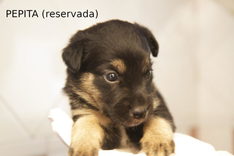 multimedia-foto64619-405-1