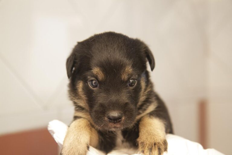 multimedia-foto64620-406-1