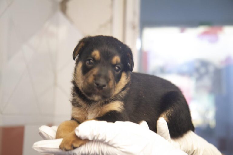 multimedia-foto64622-407-1