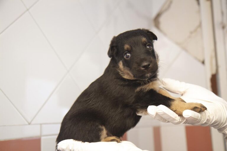 multimedia-foto64625-408-1