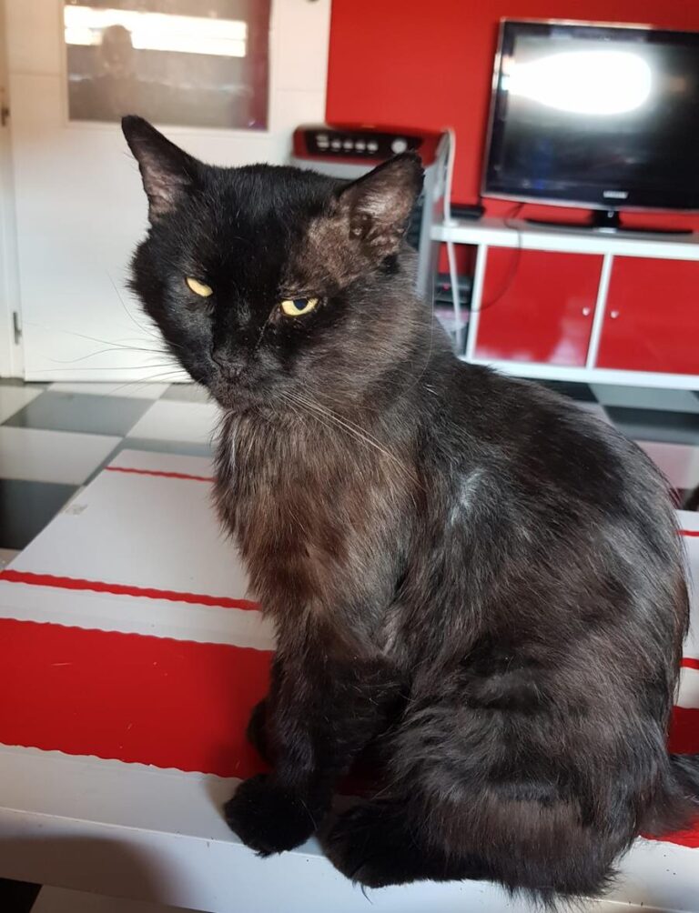 multimedia-foto64627-328-1